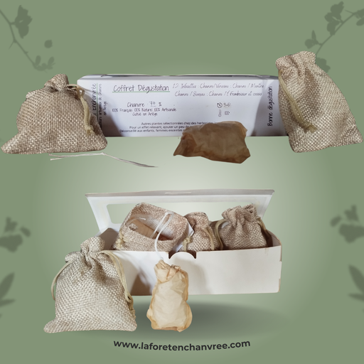 Coffret dégustation Chanvre - 12 infusettes 4 recettes